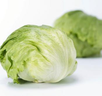 Lettuce Iceberg