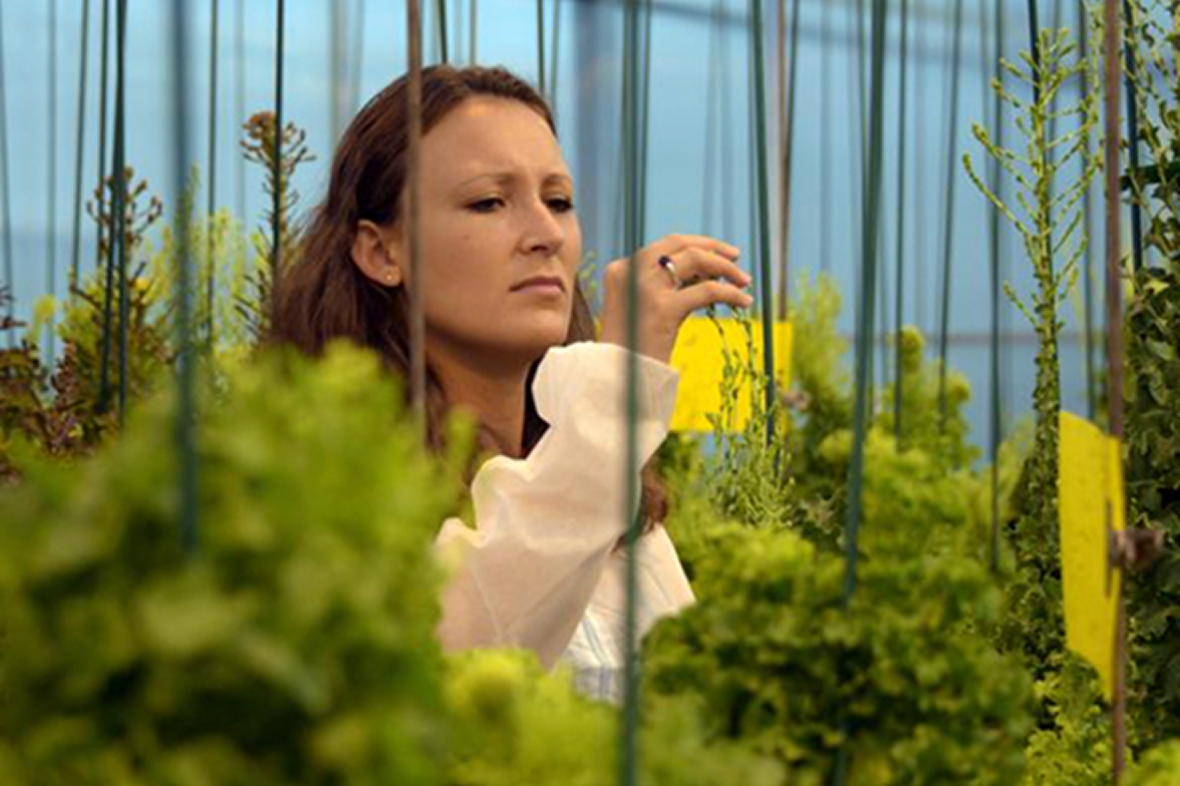 To be close to growers’ needs