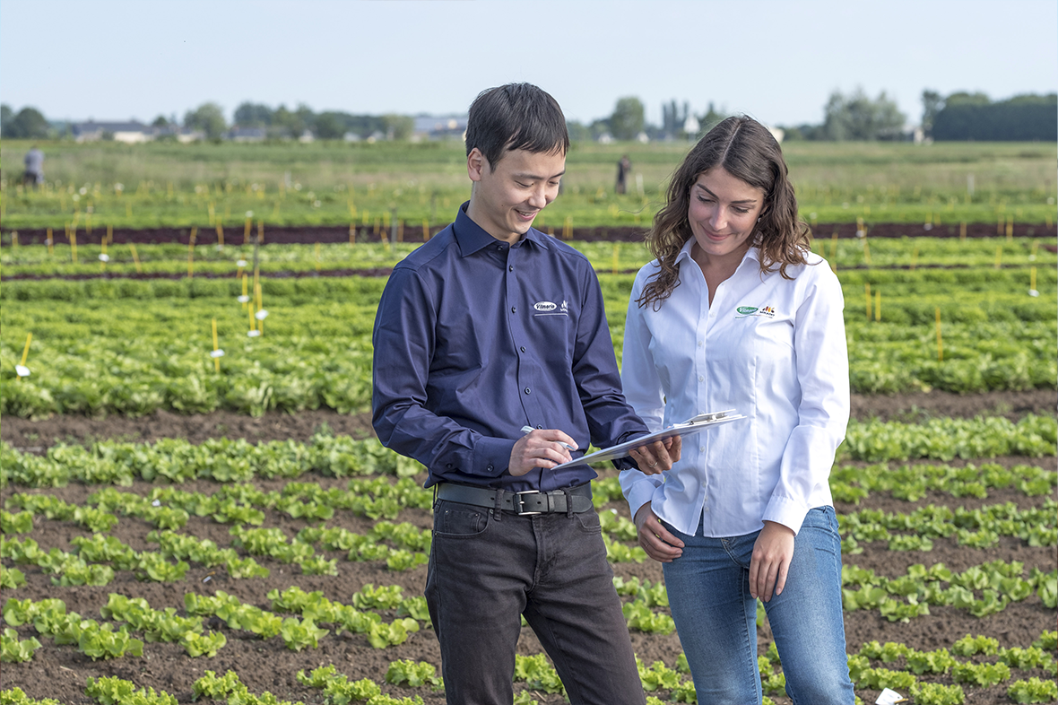 A multicultural workforce