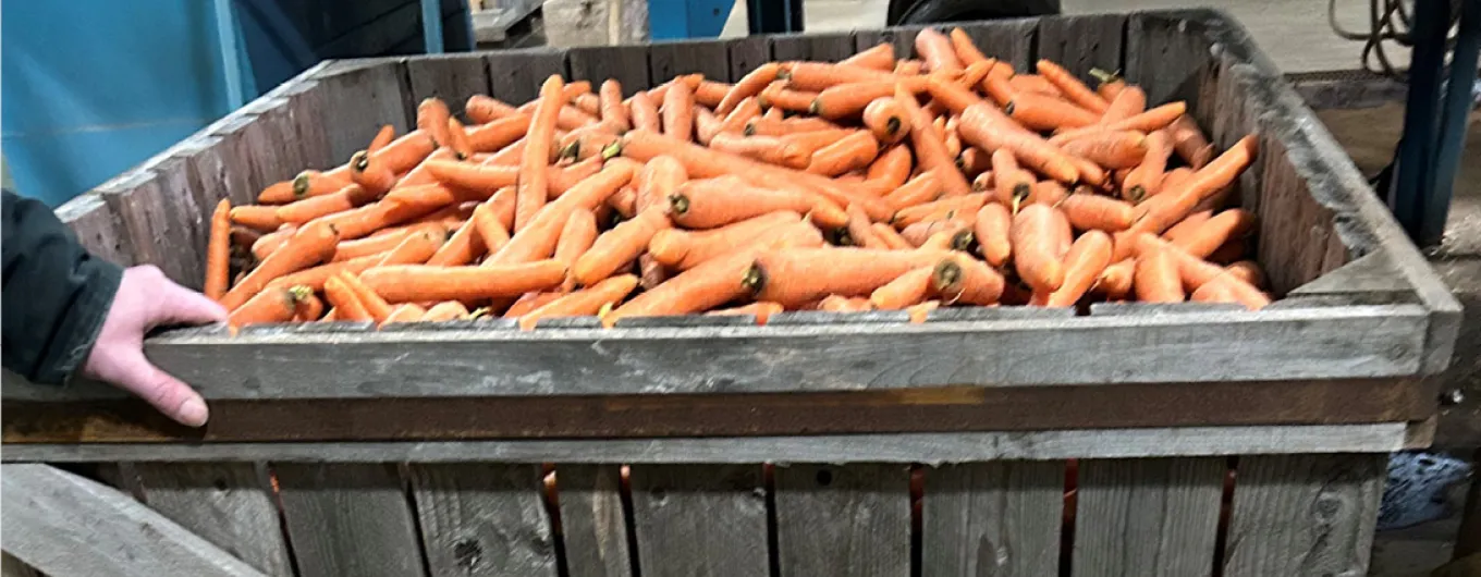 Packaging unit in Versey's 