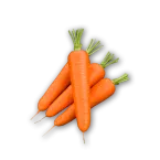 Carrot