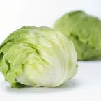 Lettuce Iceberg
