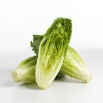 Lettuce Romaine